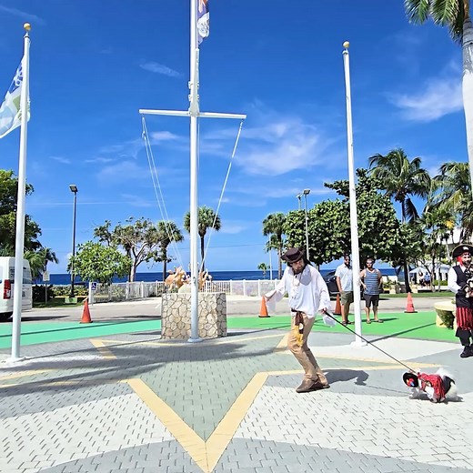 🐾🏴‍☠️ What a paw-some time we had at the Pirates Week Pooch Parade yesterday — November 9th, 2025! Our furry friends stole the show with wagging tails, pirate costumes, and plenty of smiles. A huge thank you to the Cayman Islands Humane Society for partnering this tail-wagging tradition, and to the Cayman Turtle Centre for being such gracious hosts! ❤️🐶 It was a day full of community spirit, laughter, and four-legged fun — the perfect way to kick off Pirates Week! 🎥 Video credit: @hddigitalc
