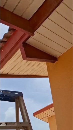 At Aruba's Bee Haven, our bee removal service is designed to keep you safe from stings and discomfort, while also ensuring the well-being of the bees. We carefully relocate the hive by securing the hcomb with eggs, larvae, brood, and honey into the frames and placing it in a proper box. Then, we patiently wait until nightfall, when the bees are calm, to safely move them to their new home. 🌙🐝 This careful process isn’t just for safety it’s about giving the bees a real chance to survive and cont