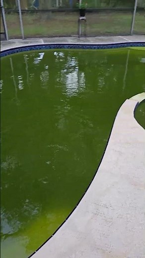 Pool turned Green after pump fail. How long to fix jt?