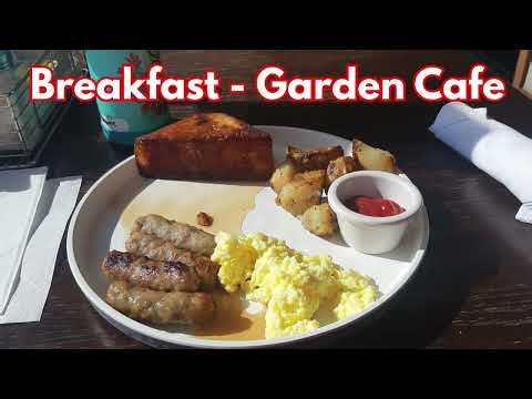 What I ate on NCL Encore #buffet #specialtyfood #ncl #norwegianencore #dining