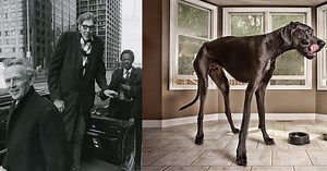 13 of the Guinness World Records' Most Iconic Records, in Photos