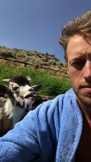 Heated Adorable Argument with Baby Goat || ViralHog