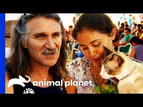 Mobile Vet Clinic Helps This Mexican Community And Their Pets | Dr. Jeff: Rocky Mountain Vet