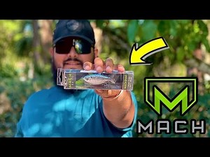 Mach Baits MACH SHAD Review! Are They Worth The Hype?