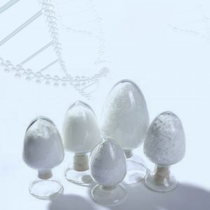 [Hot Item] Poly Lactic Acid Powder for Scaffolds Medical Use Plla Microspheres Materials