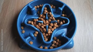 Feeding pet. Dry dog ​​food falling into slow feeding bowl. Round pellets of pet biscuits fall into deep plastic Anti-Choking Slow Feeder plate.
