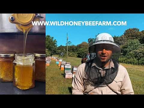 Chasing The Bloom | How We Make Wildflower Honey