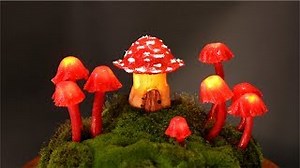 64K views · 1K reactions | DIY Fairy Garden Mushroom Lights❣ | Creative Mom | Facebook