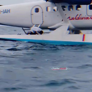 98K views · 11K reactions | Call of duty.! ☝ | Chacha Roastツ | Facebook