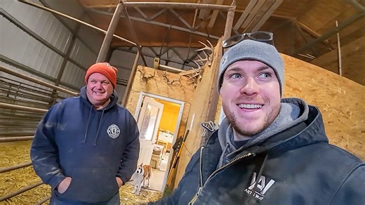 30K views · 1K reactions | Milking Cows and Saving Calves! | Sonne Farms | Facebook