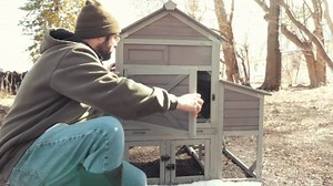 Extra Large Chicken Coop with Run, Outdoor 2-Tier 120"L Wooden Walk-in Chicken House for 6-8 Chickens, Poultry Hutch with 6 Nesting Boxes & Perches, Weatherproof Roof, Removable Leakproof Tray