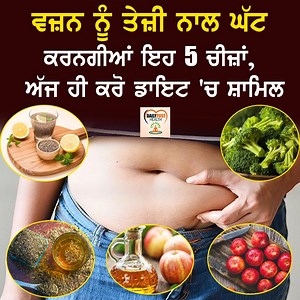 264K views · 10K reactions | ਬਹੁਤ ਜ਼ਿਆਦਾ Dieting ਅਤੇ Exercises ਕਰਨ ਦੇ ਬਾਅਦ ਵੀ ਵਜ਼ਨ ਘੱਟ ਨਹੀਂ ਹੋ ਰਿਹਾ ਤਾਂ ਖਾਓ ਇਹ ਫੂਡਜ਼ Daily Health #weightloss #bellyfat #healthyfood #weightlossfood #healthcare #healthylifestyle #healthproblems #dieting #exercises #weightloss #weightlosstips | Daily Health | Facebook