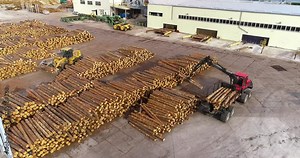Truck with a crane loads logs, loading logs with a manipulator