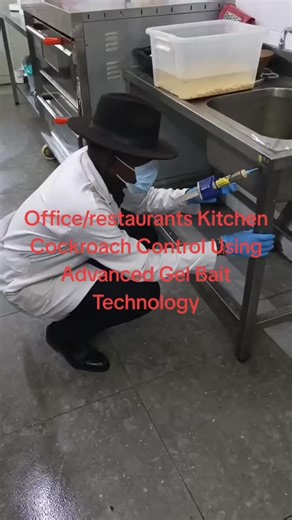 Office Kitchen Cockroach Control Using Advanced Gel Bait Technology – Professional Pest Management Solutions KitutoAfrica Hygiene Solutions provides office kitchen cockroach control using advanced gel bait technology, delivering safe, discreet, and highly effective pest elimination for corporate offices, commercial buildings, and shared workspaces. Our service focuses on targeted cockroach gel bait application, commercial kitchen pest control, crack and crevice treatment, and integrated pest man