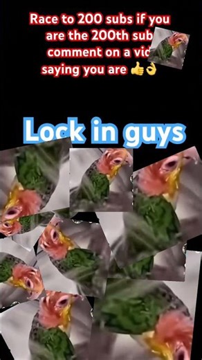Lock in guys #memes #helpmemakethismakesense #funny #lockin #200