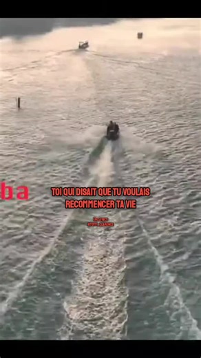 L'oiseau Rare - SOS Goumin : Paroles et Musique