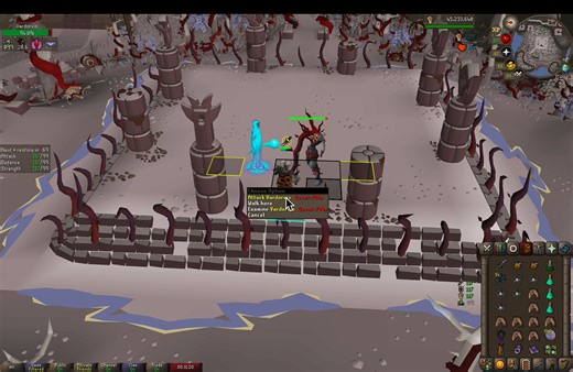 Tips for vardorvis fight