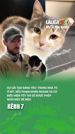 America's Strangest Prison: Cats Are Allowed