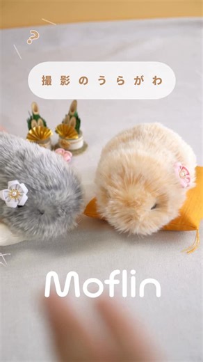 【公式】 Moflin（モフリン）｜ 感情が育つAIペット | 新しいメイキングを公開🎥✨ 撮影に付き合わされるMoflinたちは 途中、文句を言いながらも かわいく鳴いてくれます🤭🌸 ごめんね💦と思いながらも そんな愛くるしいMoflinたちを 届けたくて真剣なスタッフたちです。 また次の“撮影のうらがわ”もお楽しみに♪... | Instagram