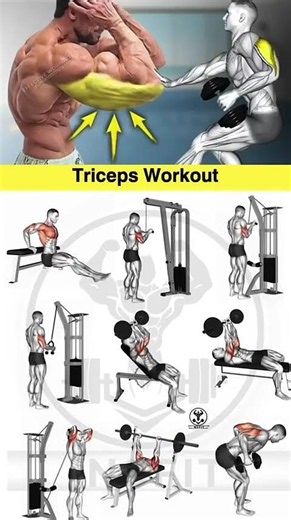 triceps workout at gym best triceps workout triceps exercises Build bigger Tricep