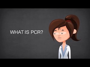 Polymerase Chain Reaction PCR steps Video Lecture - NEET