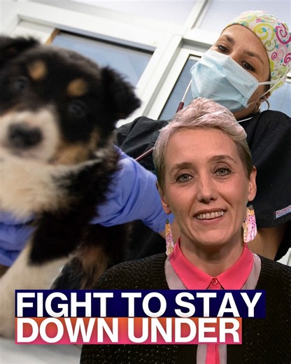 47K views · 208 reactions | Recent research indicates that the cost of veterinary care is rising faster than inflation across Australia and has been for the past five years, making large vet bills increasingly common. Vice President of the Australian Veterinary Association, Dr Diana Barker, joins us to explain what's going on. | The Project | Facebook