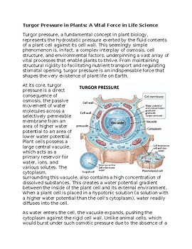 Turgor Pressure in Plants Worksheet for Sub-Plan or Classwork & Homework