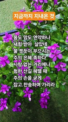 Hymn 301: By His Grace I Have Come This Far