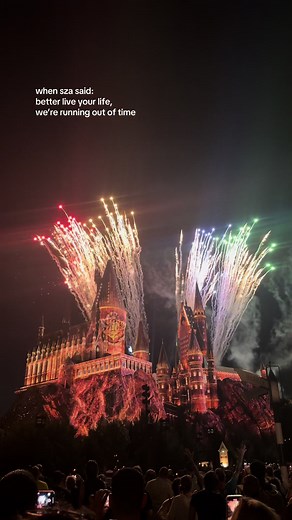 book 👏🏻 the 👏🏻 trip 👏🏻 #universalstudiosorlando #universalstudios #islandsofadventure #wizardingworld #universalstudiosflorida #fyp #sza