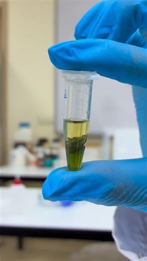 @labdiarybyilgin | Cute but make it molecular🧬🥹💖 #molecularbiology #genetics #lab #molecular #labmemes | Instagram