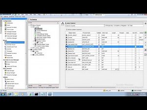 Informatica MDM 10 1 Online Training whats is consolidation indicator and Hub state indicator i