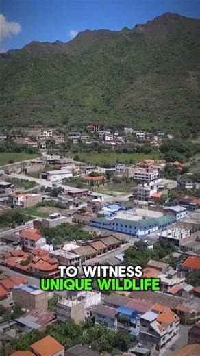 Ecuador's Magic: Andes to Amazon #ecuador #travel