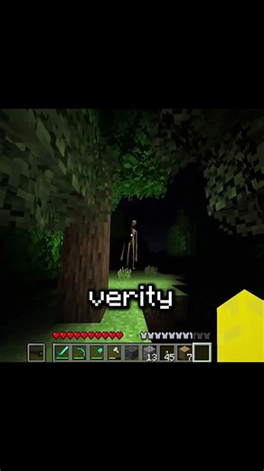 What is Verity Doing 😭 #minecraft #verity #meme
