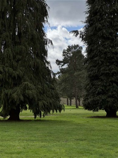 Windy Day Golfing Tips