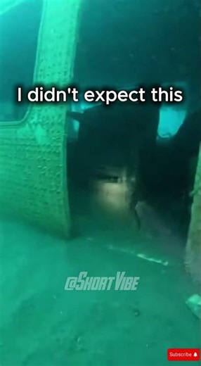 Diver Opened a Sunken Airplane Compartment… and this happened