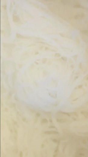 How to cook Vermicelli Rice Noodles for a perfect texture!