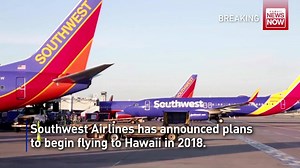 137K views · 5.1K reactions | Do you think Hawaii will see cheaper fares with the new competition? MORE: https://buff.ly/2g4QUAH #HINews #HNN | Hawaii News Now | Facebook