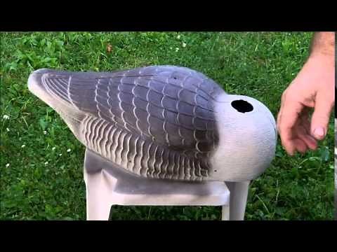 canada goose repaint