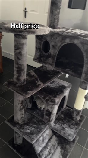Cat tree tower is currently half price, click the orange basket in this video to buy yours for £29.99. Free delivery 🚚 #cat #cattree #cattoys #kitten #catplay