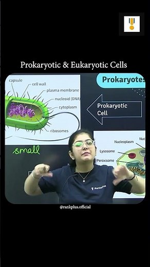 Prokaryotes vs Eukaryotes | What's the Difference?