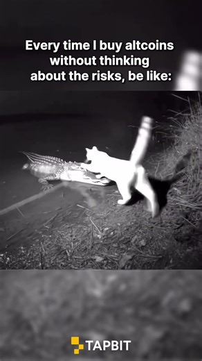 Alts or BTC?#crypto #altcoin #trading