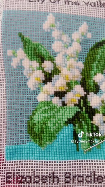Needlepoint and Cross Stitch Canvas Comparison