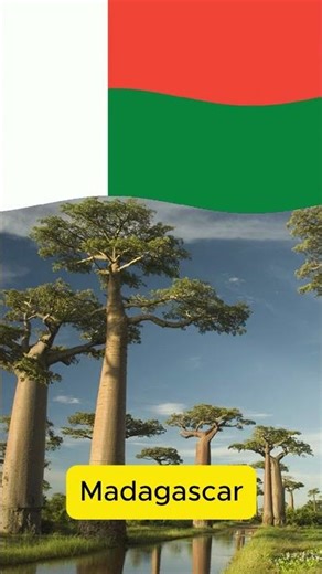 Madagascar - National Anthem|#madagascar #madagascarescape2africa #madagascarmeme #madagascardance