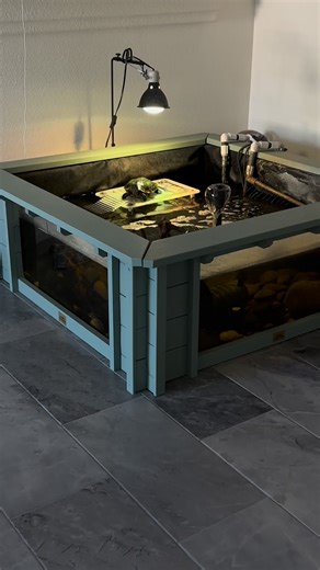 ASMR Weekend #SplashTheeTurtle #Splash #Turtle #ASMR #Weekend #PetLovers #Relaxing #Zen #Oasis #WaterFlow #Animals #Reptiles #LivingGood | Splash Thee Turtle