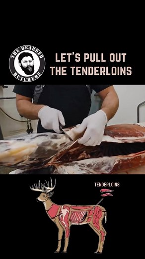 50K views · 2.7K reactions | Where are the deer tenderloin fans at? Be sure to season up your venison with Bearded Butcher Blend this season  And check out our YouTube channel for full deer breakdown instructionals and so much more  https://youtube.com/@TheBeardedButchers #TheBeardedButchers #AmericasButchers #BeardedButcherBlendSeasoning #UseItOnEverything #DeerSeason2022 #MeatProcessing #Hunting #Hunting2022 #Whitetail #DIY | The Bearded Butchers | Facebook