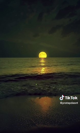 Tranquil Night Beach Scene with Full Moon