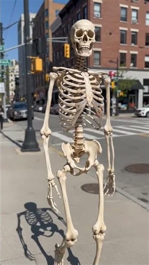 😳 walking skeleton 🤯