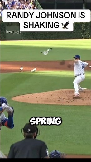 "The Pitch That Hit a Bird… and It Exploded! 😱⚾"