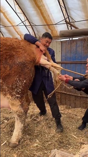 Pulling a New Life Into the World 👀