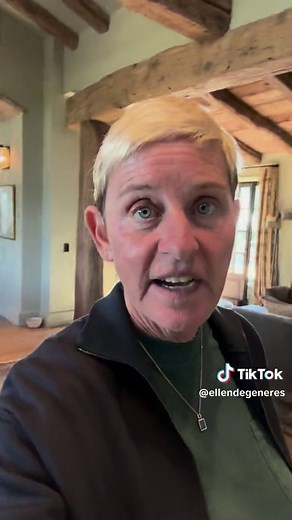 Exploring Fruits: A Light-Hearted Kitchen Adventure